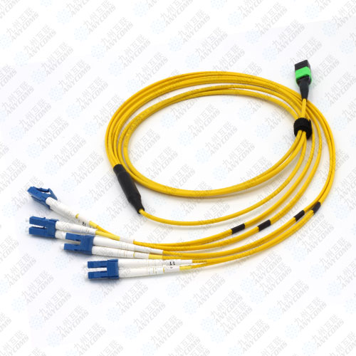MPO&MTP Harnesses Cables Specification 12core 2.0MM